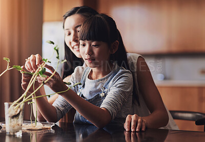 Buy stock photo Shot of a cheerful mother and daughter spending time taking care of plants together inside at home during the day