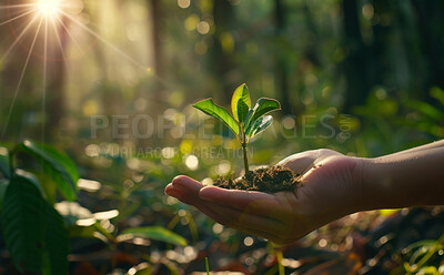 Plants, hand and sustainability for environment, agriculture or earth day gardening in nature. Planting, lens flare and person for eco friendly, sapling soil or natural development for green project