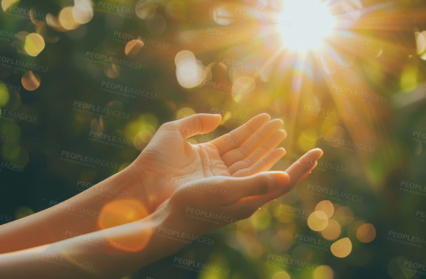 Buy stock photo Hands, pray and person with worship, flare and believe for grace, light and forgiveness with gratitude. Sunshine, Christian and outdoor with nature and praise with faith and spiritual with compassion