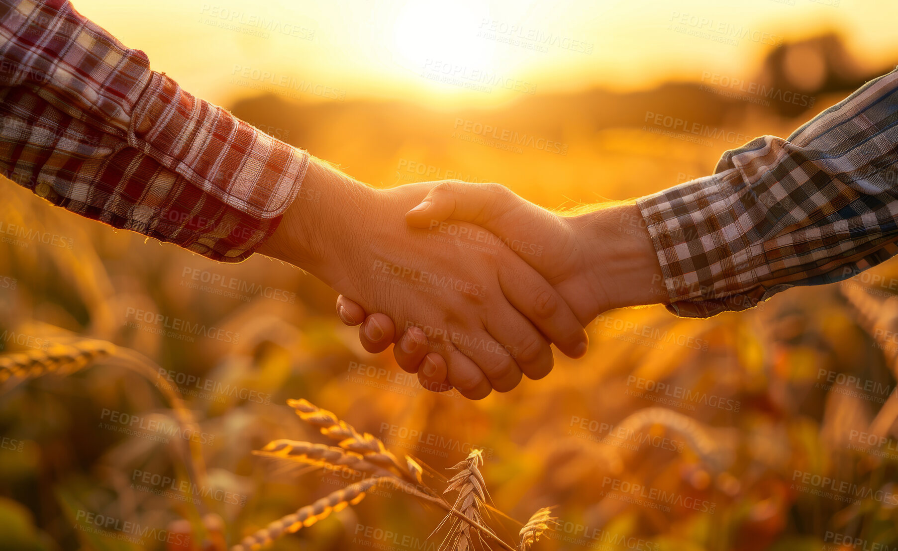 Buy stock photo Handshake, people and deal in countryside with partnership in wheat farm shaking hands for business meeting. Agreement, field and trust with lens flare with agriculture industry with collaboration