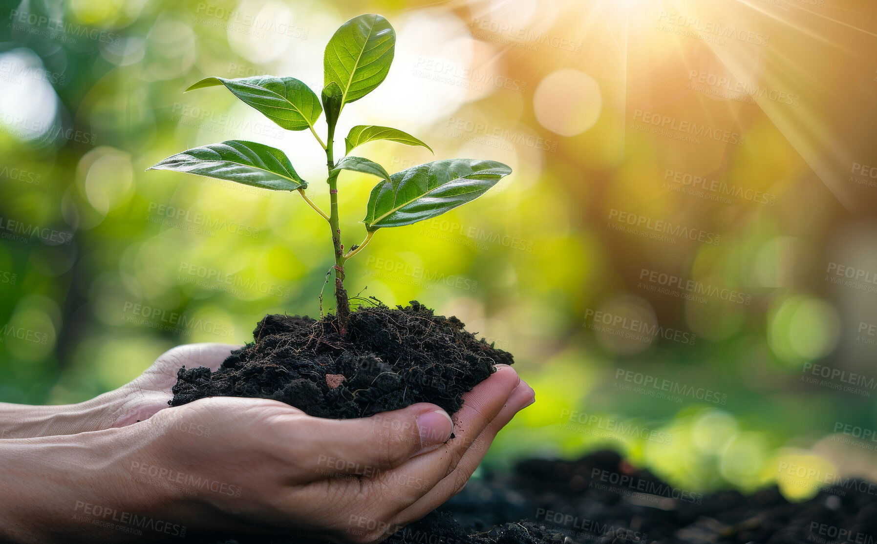 Buy stock photo Plant, soil and palm for farming and gardening with hope in future growth, investment and sustainable living on earth day. Person, farmer with sprout, fertilizer or nature in hands for agriculture