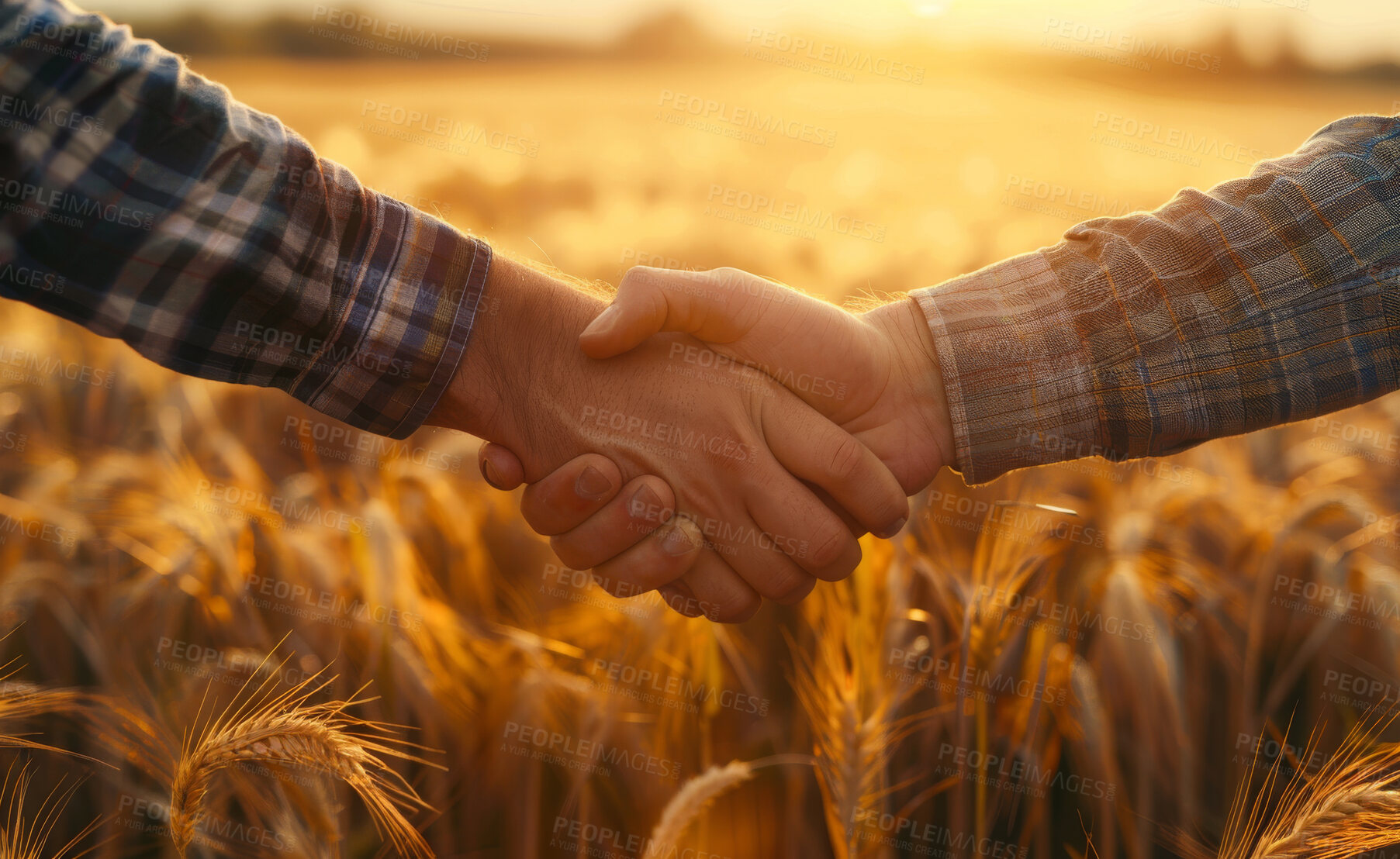 Buy stock photo Deal, handshake and people in countryside with partnership in closeup with shaking hands for meeting with wheat. Trust, field and agreement with lens flare for agriculture industry with collaboration