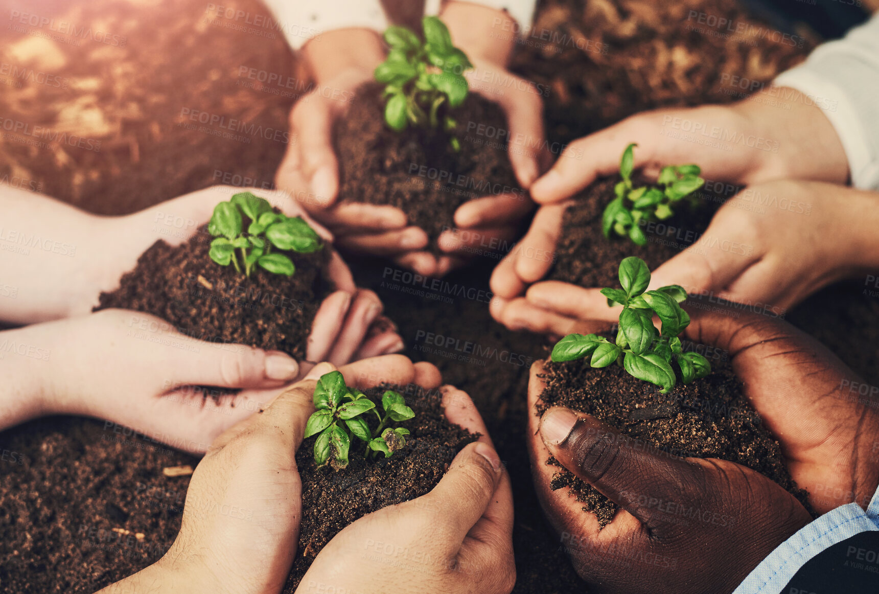 Buy stock photo Hands, plants and group with growth, teamwork and sustainable business support for eco friendly project. People in circle with palm, soil and sprout for future investment, prosperity and earth day