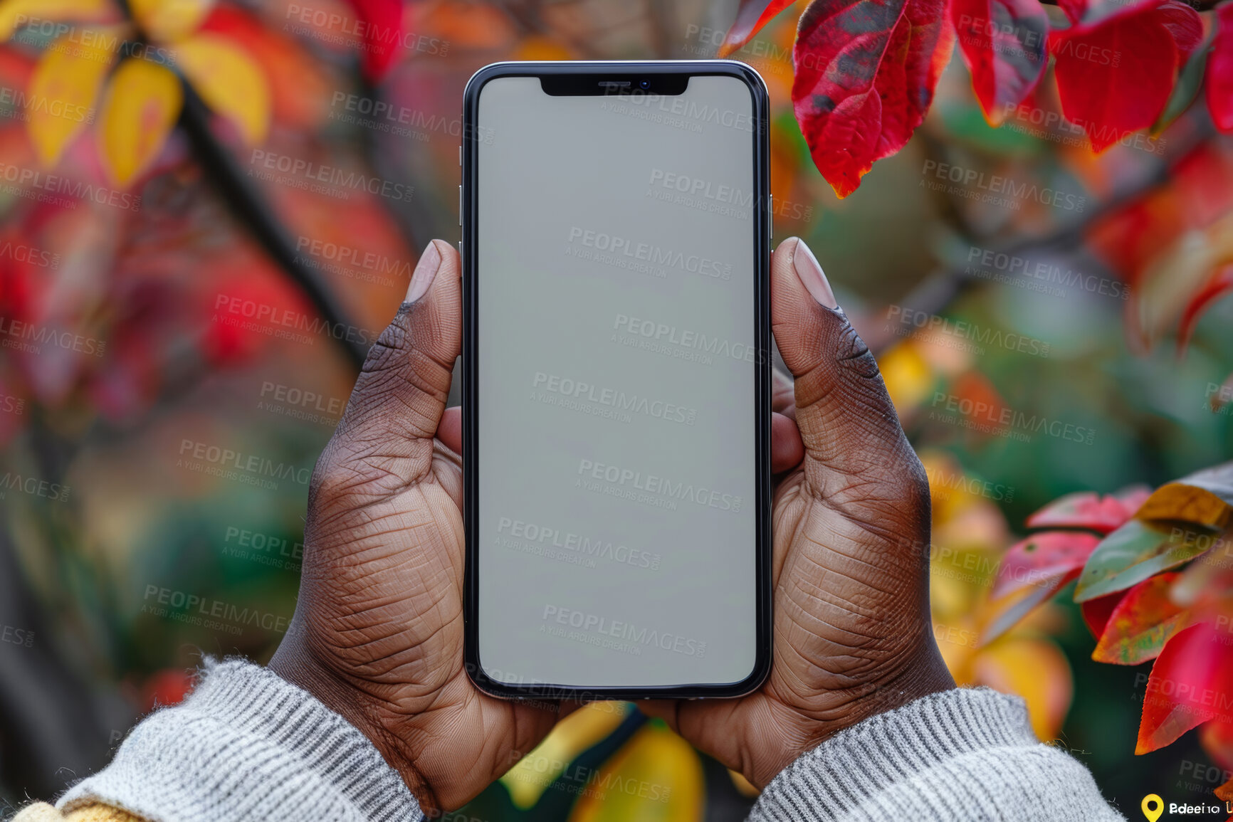 Buy stock photo Hands, nature and phone screen with person in garden for communication or networking space. App, contact and display with mobile user outdoor in park for mock up, social media or text message closeup