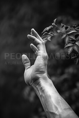 Touch, plant and hand of person for help, support and hope for faith and connection in mental health. Arm, reach and human arm for faith, healing and relief from anxiety and stress by tree outdoor