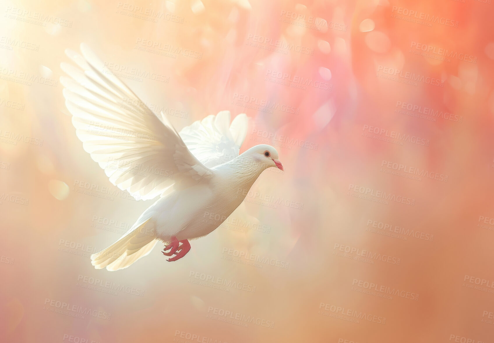 Buy stock photo White dove, flying and wings for peace with spiritual wallpaper, mockup space or sign of hope. Bird, flight and symbol of new beginning, purity or honesty with illustration, creative art or Christian