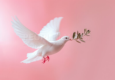 White dove, flying and leaf for peace with spiritual wallpaper, studio background or sign of hope. Bird, flight and symbol of new beginning, purity or honesty with illustration, creative or Christian