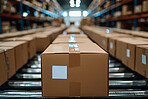 Factory, boxes and conveyor belt for packaging in manufacturing or distribution and delivery. Logistics, supplier and parcel or product in storehouse, wholesale and factory for shipping or cargo