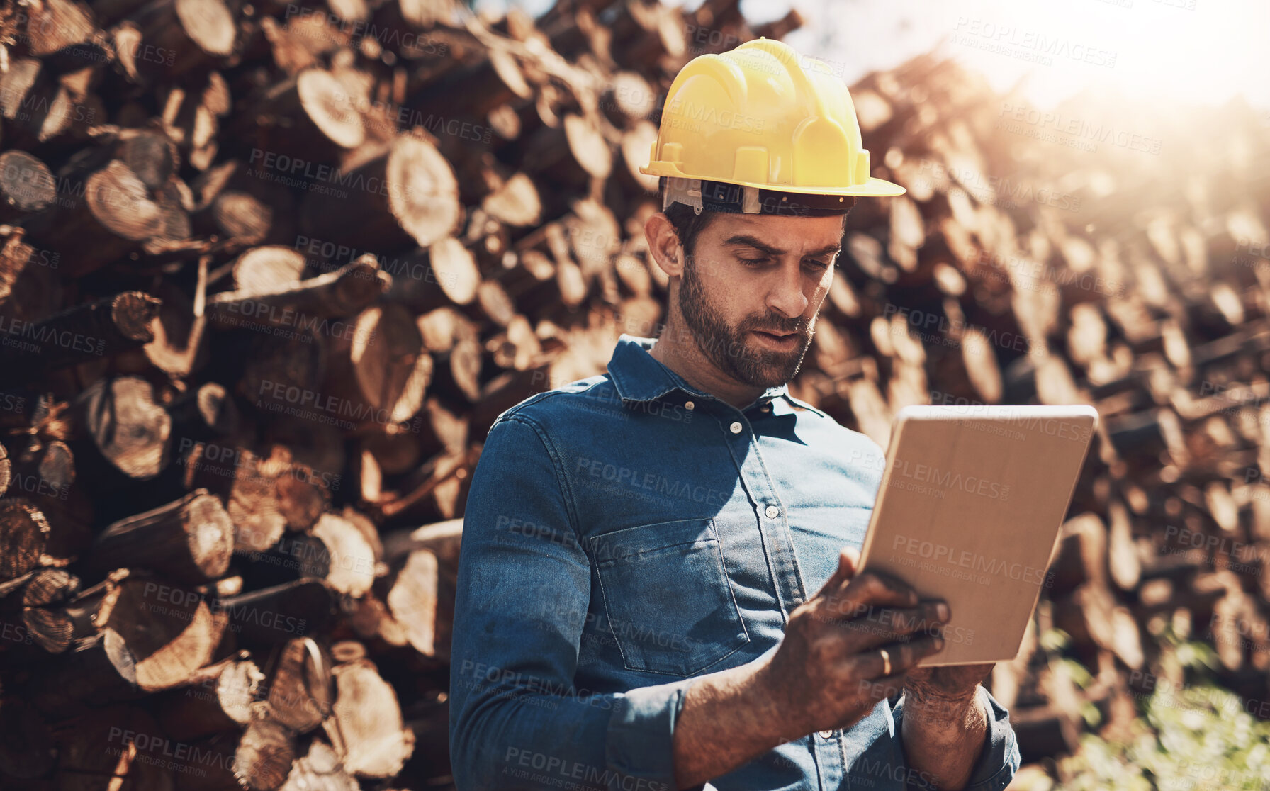 Buy stock photo Helmet, tablet and wood with lumberjack man outdoor in nature to develop sustainability program for deforestation. Tree, industry and innovation with person in forest for logging   or planning