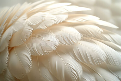 Angel, white feather and texture with light for creativity, wallpaper and screensaver with pattern. Closeup, dove or bird wings for decoration, aesthetic and soft or shape for artistic detail