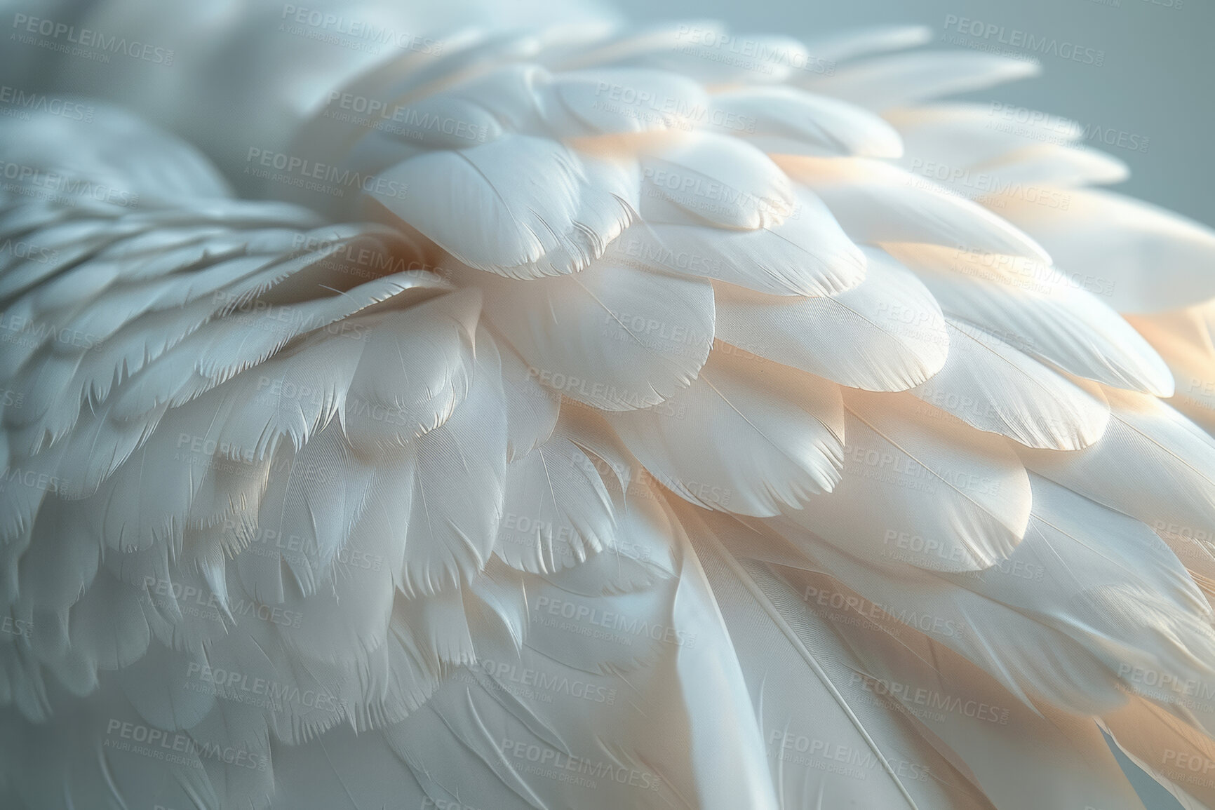 Buy stock photo Feathers, closeup and pattern with texture, natural and avian with animal, wildlife and softness. Design, wallpaper and beauty with exotic mammal, wing and decoration with smooth, abstract and layers