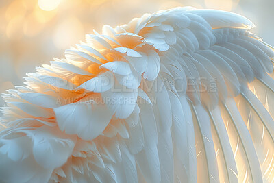 Angel, white feather and texture in bokeh for creativity, wallpaper and screensaver with pattern. Closeup, dove or bird wings for decoration, aesthetic and soft or natural with artistic detail