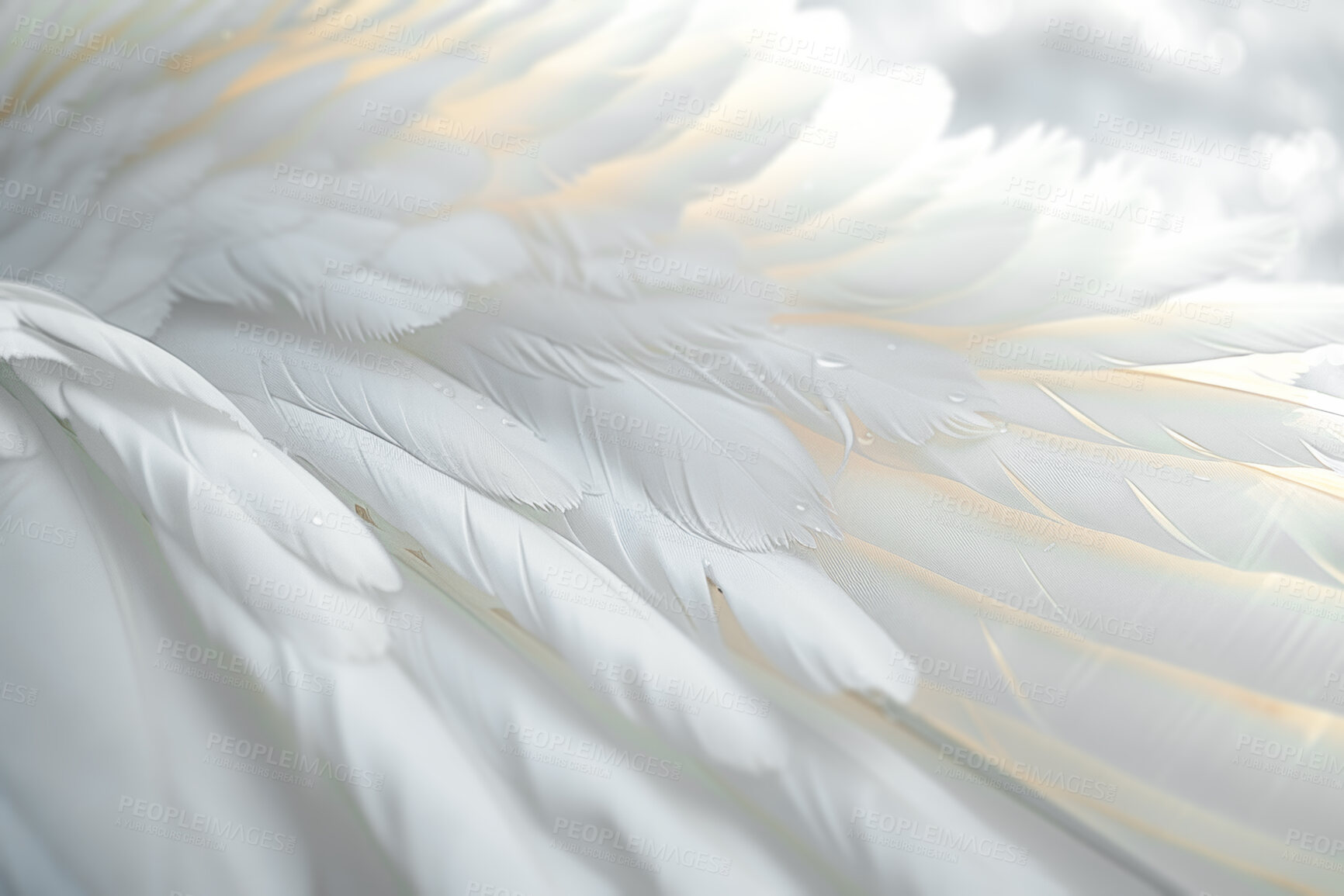 Buy stock photo Feather, wings and background with texture as wallpaper or angel pattern or creature, swan or bird. Elegant, dove and closeup abstract or soft wildlife with fluffy species or heaven, eagle or nature