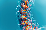 Spine, injury and inflammation pain as x ray on blue background for skeleton bone, scoliosis or emergency. Vertebra, accident and healthcare with strain problem with joint scan, tender or anatomy