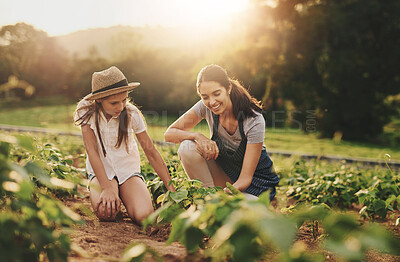 Buy stock photo Woman, plant or girl farming for teaching with sustainability in nature, working together for family business. Farmer, daughter or knowledge transfer with child development for agriculture or ecology