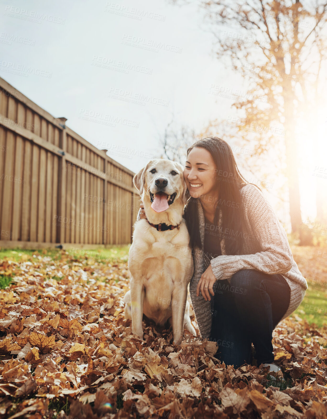 Buy stock photo Dog, woman and autumn with leaves and animal, garden and owner for best friend. Labrador, breed and loyal pet for happy female person, companion and park for walk or exercise with collar for bonding