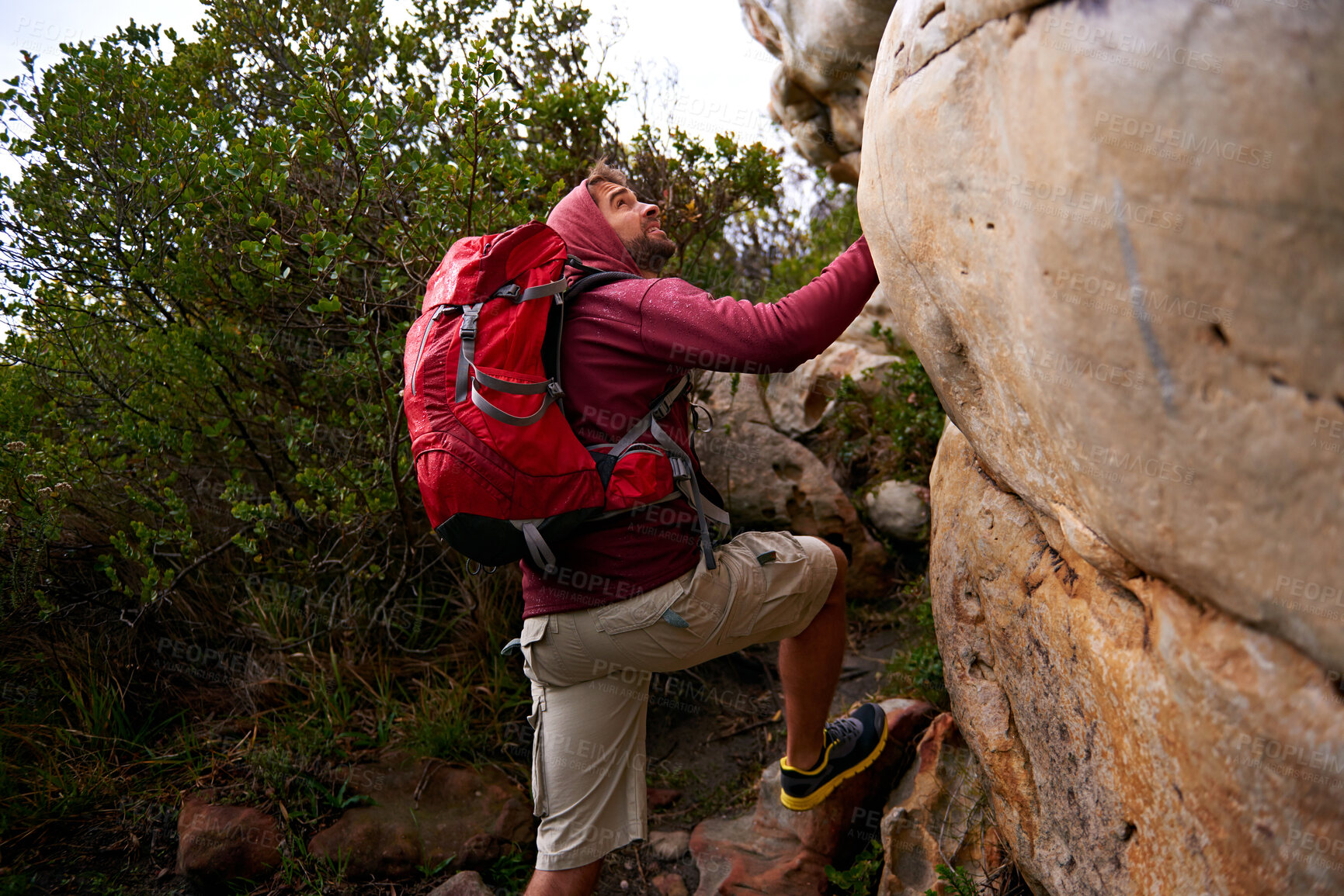 Buy stock photo Rock climbing, hiking and man on mountain, nature and environment for outdoor adventure. Male person, athlete or sport in environment for exercise, fitness or health with backpack by plants in forest