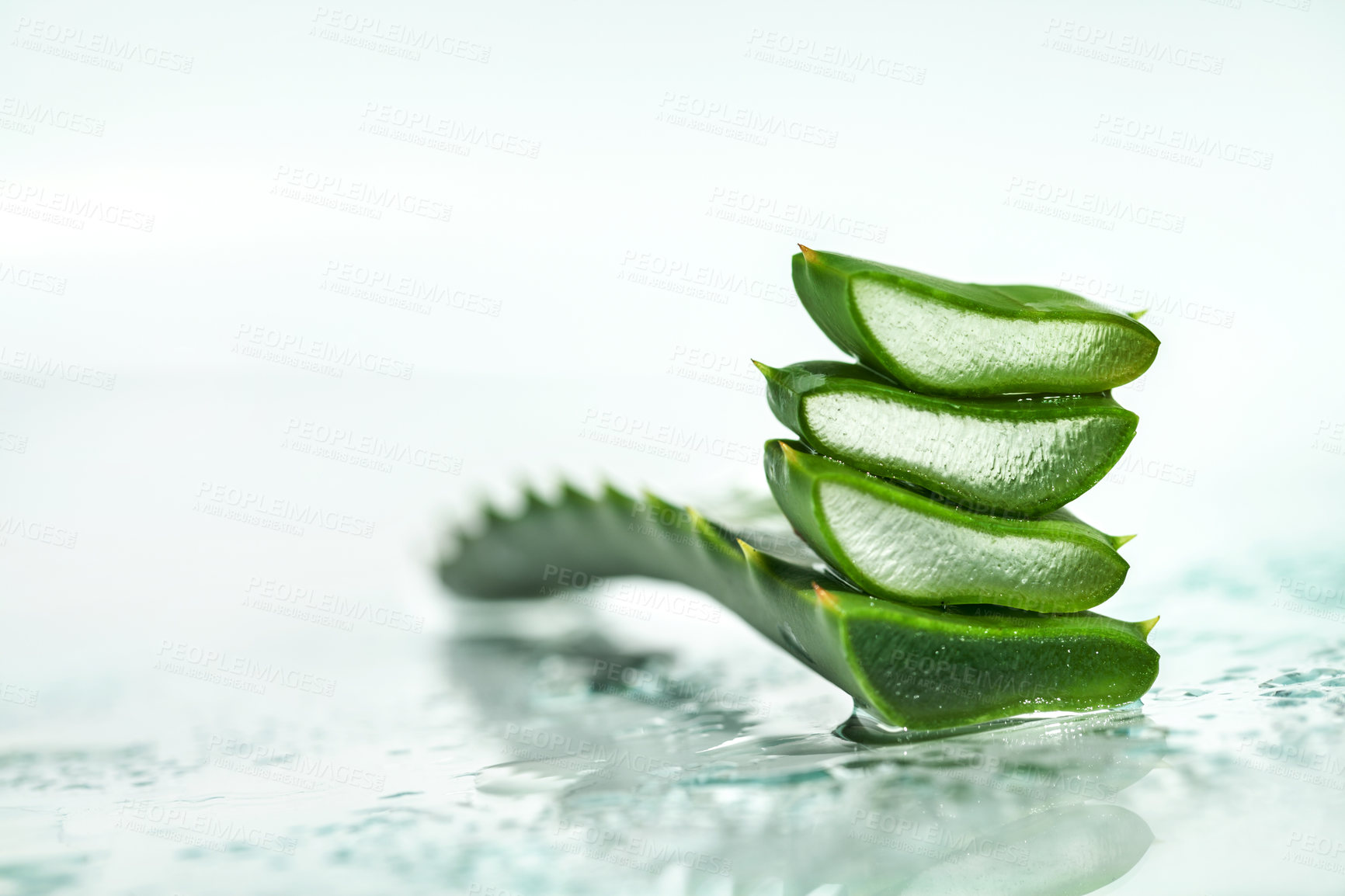 Buy stock photo Nature, water and aloe vera plant on a white background for natural treatment, wellness and skincare products. Spa aesthetic, advertising and leaf in studio for organic, healthy and herbal ingredient