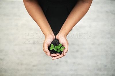 Buy stock photo Hands, soil and leaves for business growth, ecology and change for opportunity and charity. Person with fertilizer, sustainability and eco friendly corporate goals for climate change and environment