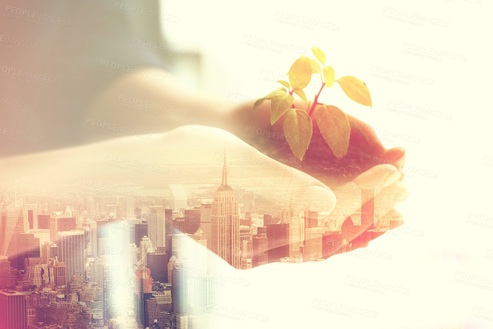 Buy stock photo Double exposure, soil and plant in hands with city overlay for earth day, sustainability and eco friendly. Climate change, urban and environment protection for growth and future with dirt and town