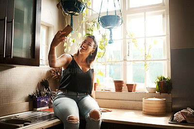 Buy stock photo Woman taking a selfie with a phone or video call and smiling in the kitchen at home. Edgy, curvy and relaxed female posting photos on social media app and using online chat in the kitchen 

