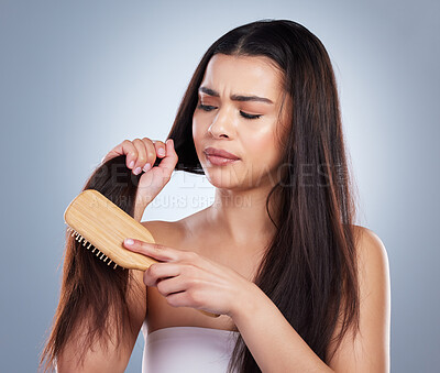 Buy stock photo Woman, brush and tangled hair in studio with damage, trouble and worry and stress on gray background. Young person or model combing and haircare with pain for color treatment, scalp health and growth