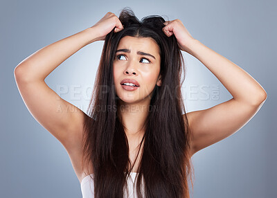 Buy stock photo Frustrated woman, hair and damage with disaster for bad day, treatment or haircut on a blue studio background. Upset female person or young model with stress, dry or bristle piece for messy scalp