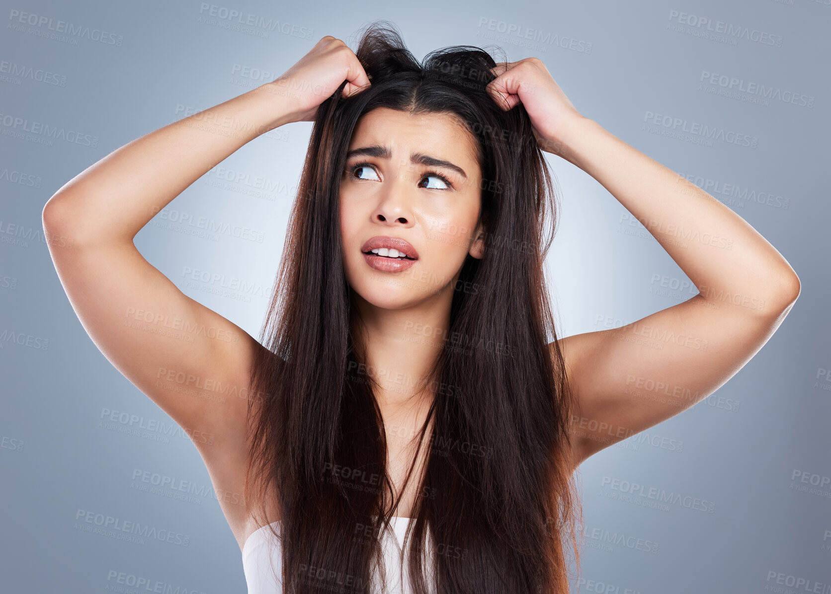 Buy stock photo Frustrated woman, hair and damage with disaster for bad day, treatment or haircut on a blue studio background. Upset female person or young model with stress, dry or bristle piece for messy scalp