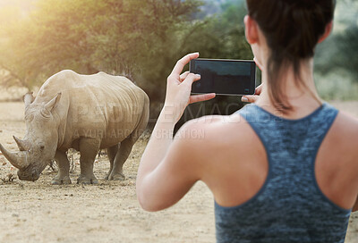 Buy stock photo Back, rhino and woman with smartphone, nature and picture with memory, digital app and social media. Rear view, person and girl with cellphone, wildlife and animal with vacation, adventure or journey