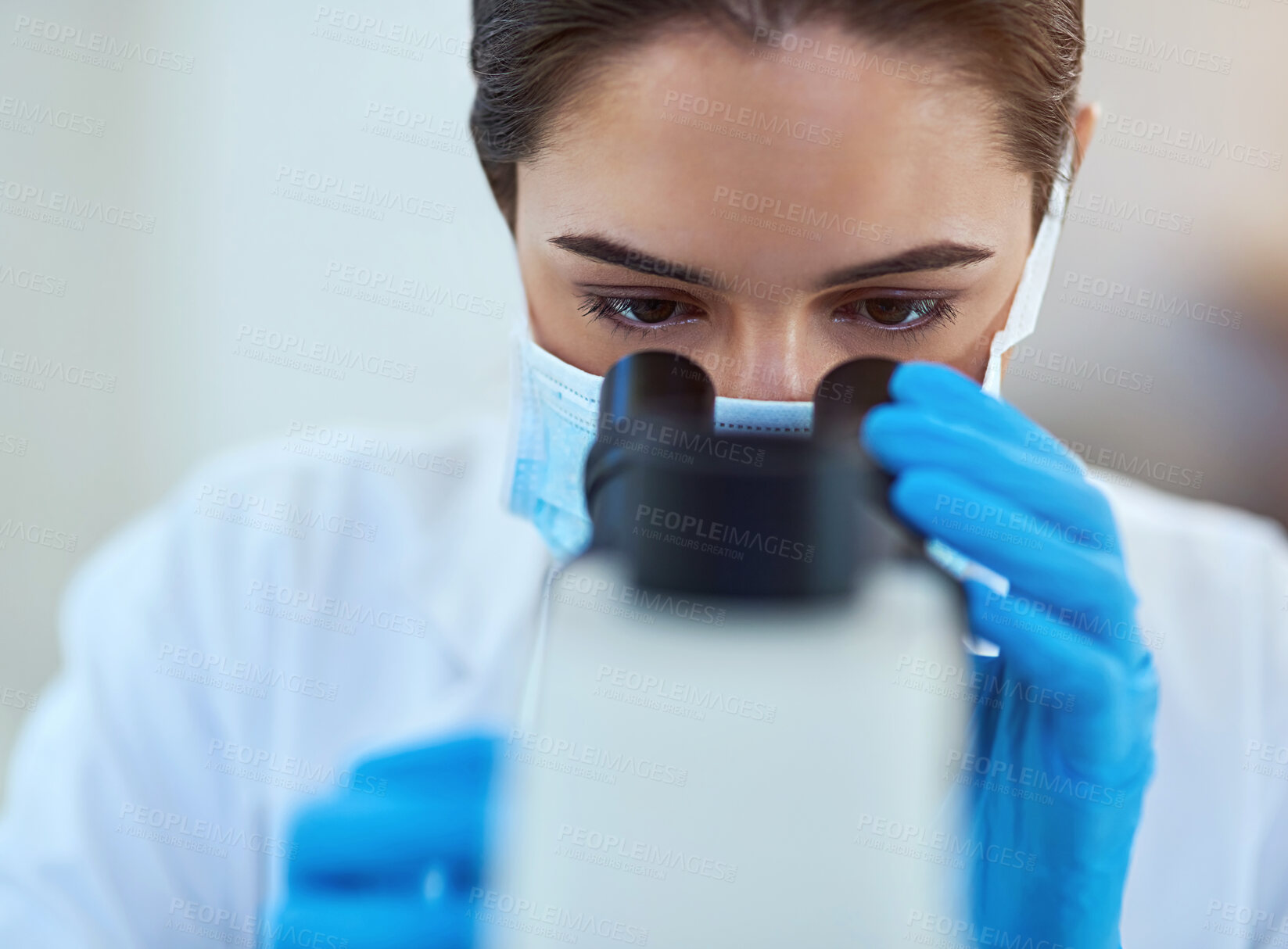 Buy stock photo Scientist, microscope and woman in lab with analysis for medical study, innovation and stem cell research. Experiment, investigation and person with biotechnology for dna, exam and test for bacteria