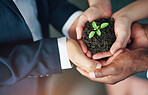 Business people, hands and plant growth for startup company for eco friendly, earth day or investment. Fingers, top view and group for sustainable career or ecology project for planet, care or sprout