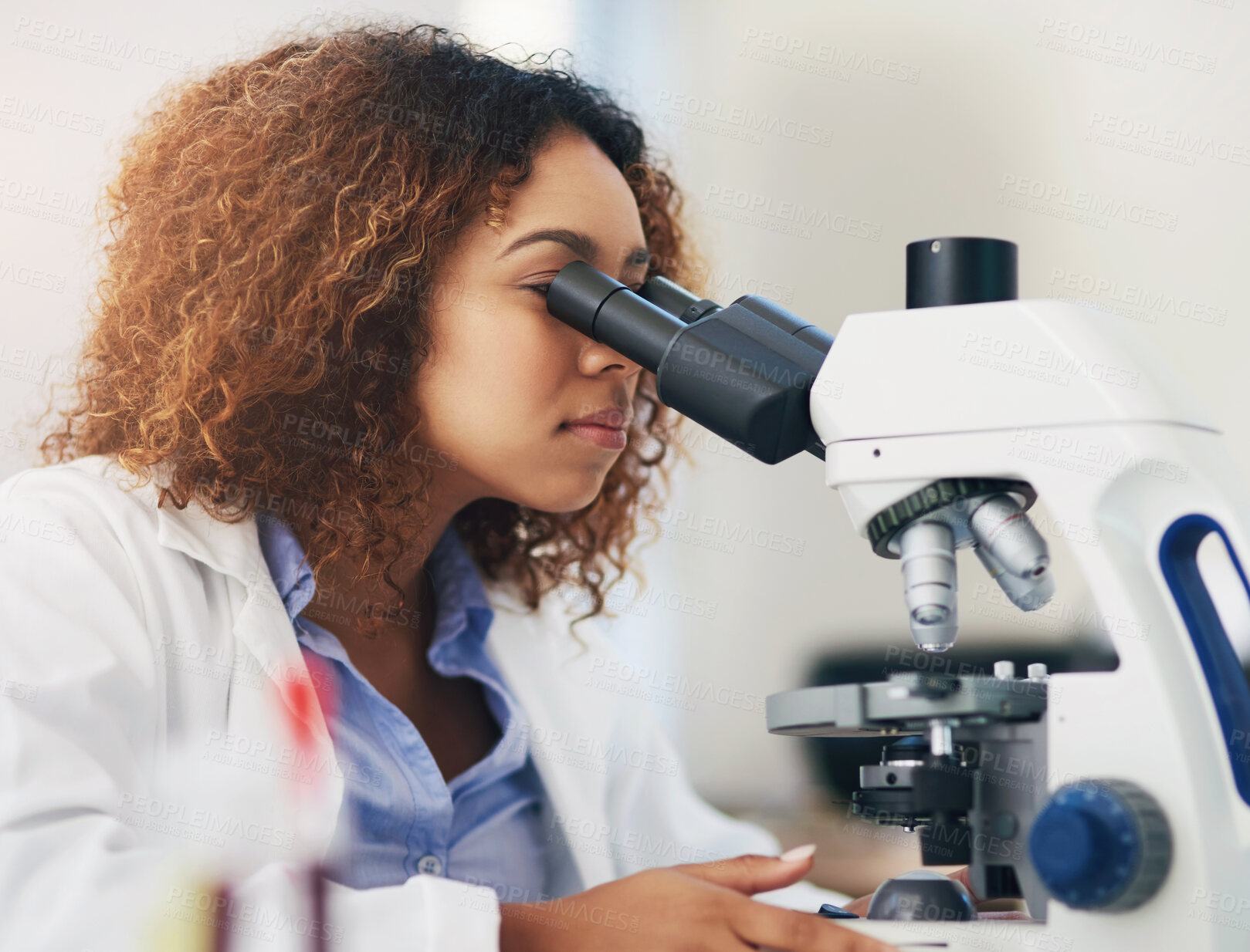 Buy stock photo Female scientist, microscope and analyse in laboratory for research or medical breakthrough. Health, data and specialist with doctor or expert in biology with equipment for investigation in Mongolia.