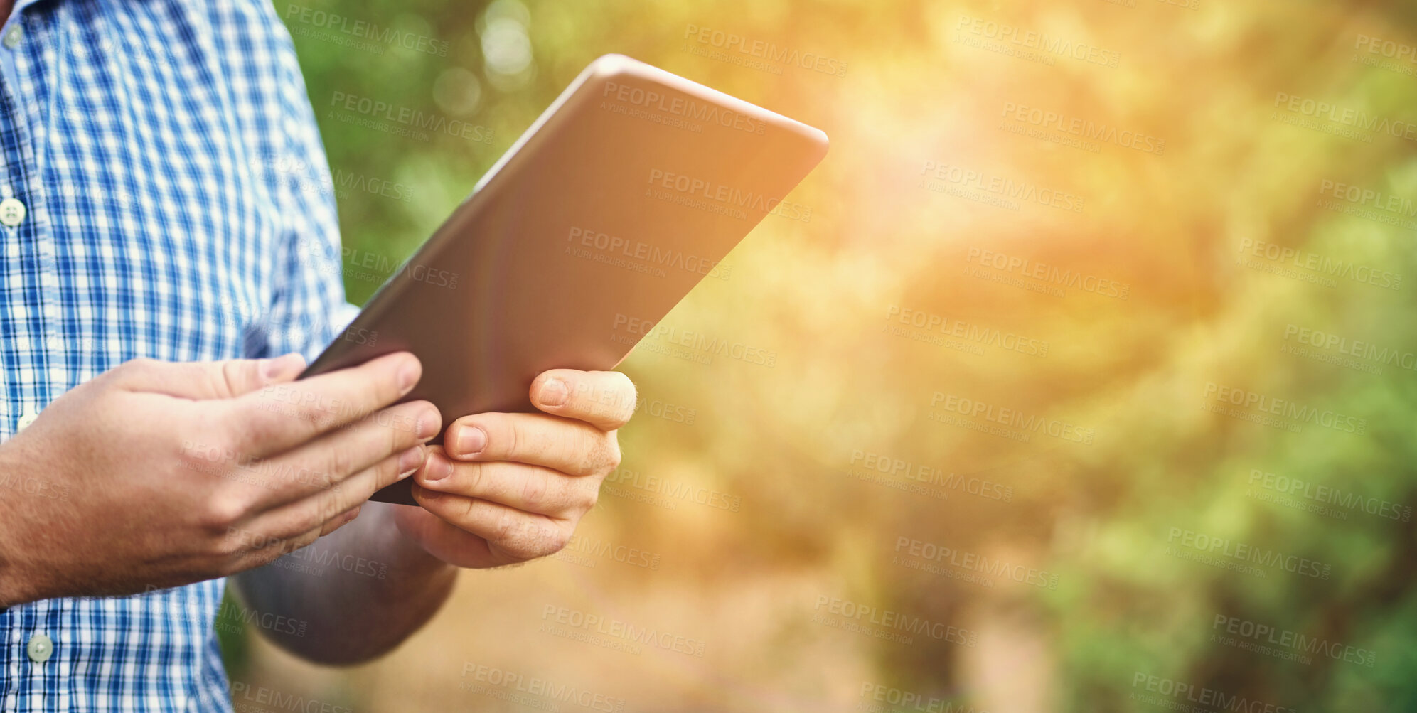 Buy stock photo Hands, farmer and digital tablet in countryside for plants research, crops and information on agriculture. Nature, tech and person outdoor for inspection, ecology and sustainability in Australia