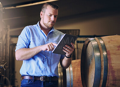 Buy stock photo Cellar, tablet and wine with sommelier man for alcohol production, management or online order. Small business, startup and technology with person in distillery of winery for manufacturing or storage