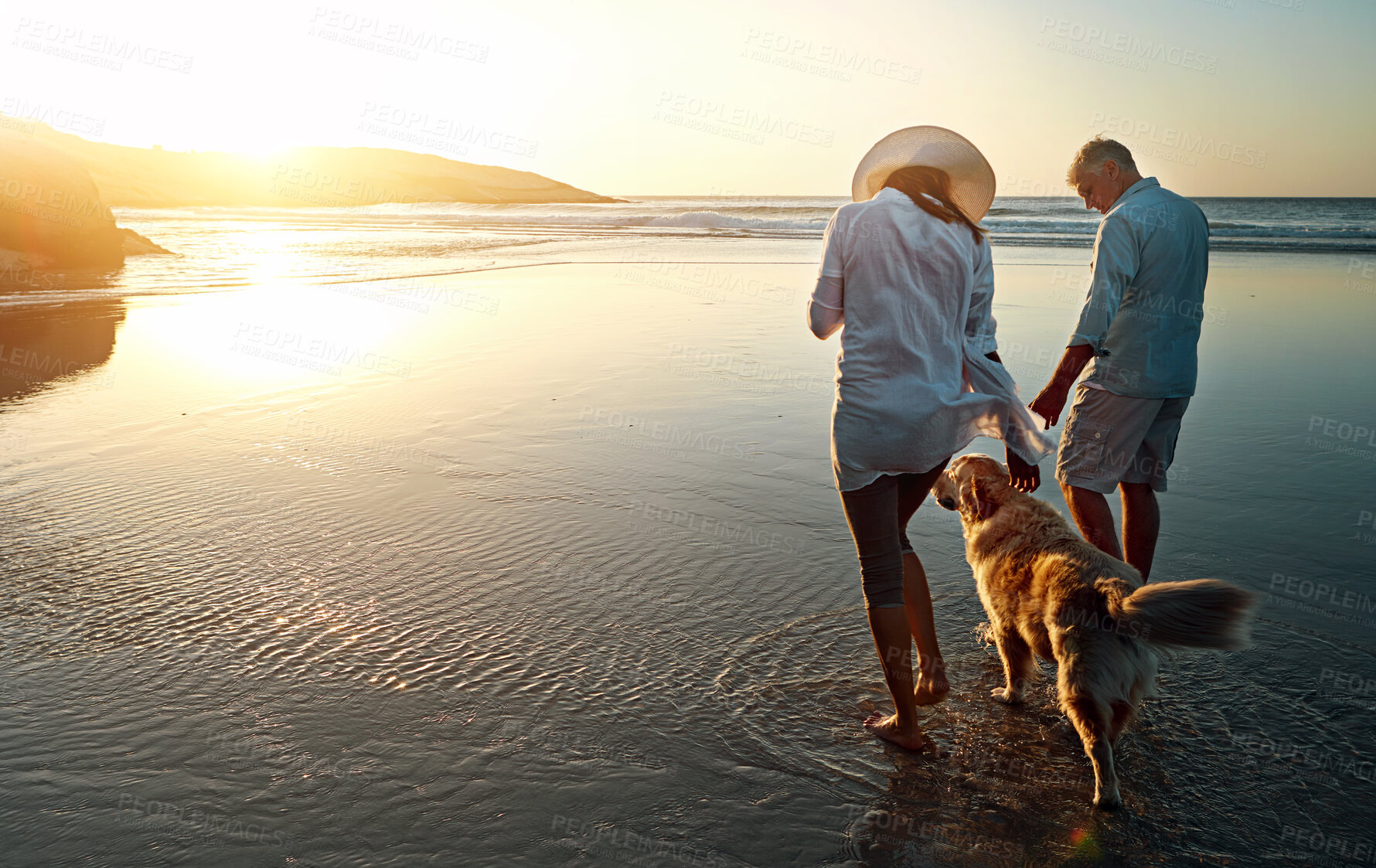 Buy stock photo Couple, love and beach with dog at sunset for outdoor travel, summer vacation and holiday together. Woman, man and walking with furry pet by ocean water for peace, support and adventure in Sweden