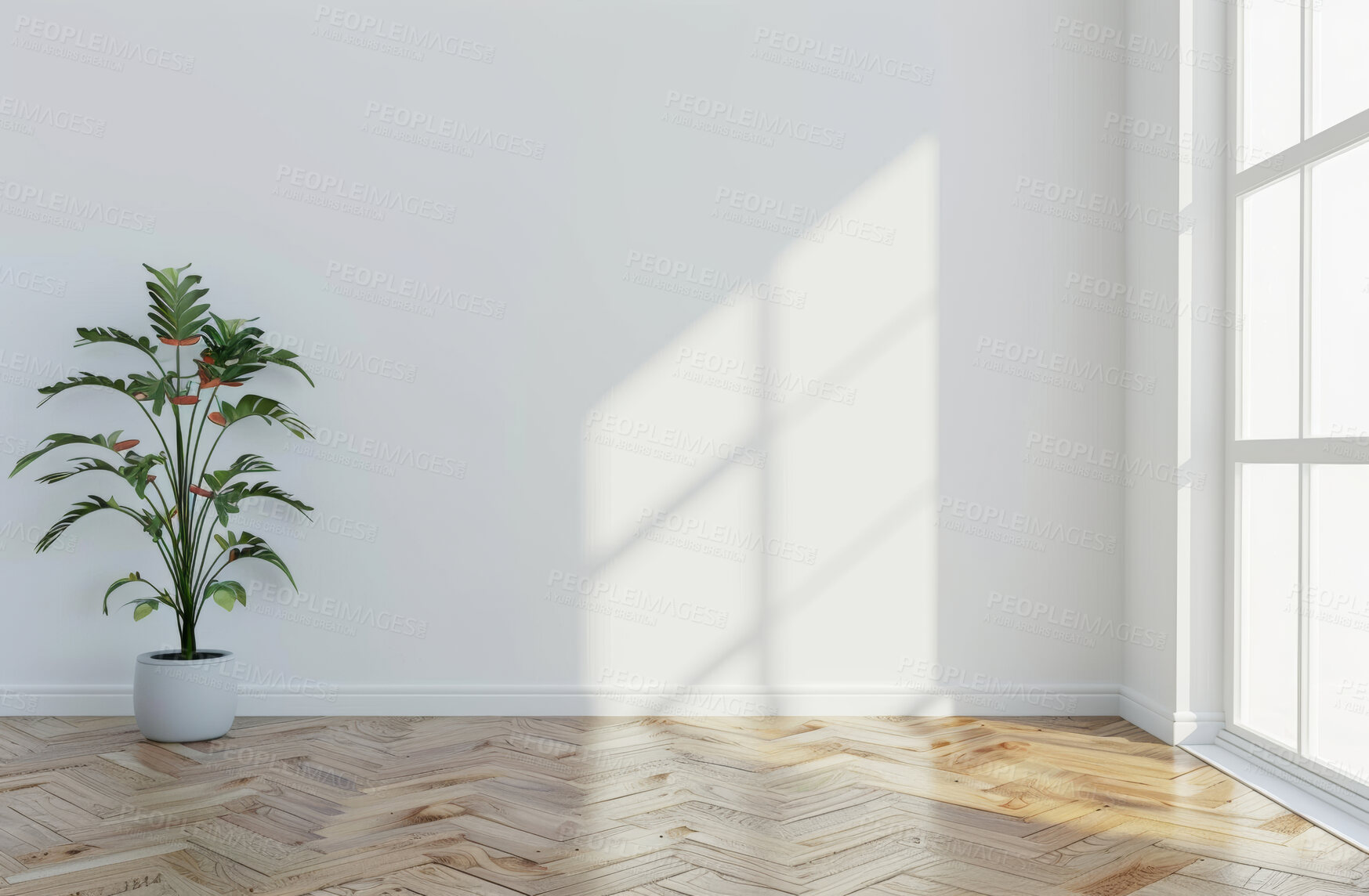 Buy stock photo Interior design, home and decoration for living room, minimalistic and furniture for house. Wall, empty and modern apartment with plants, light or mock up space in lounge and spacious property