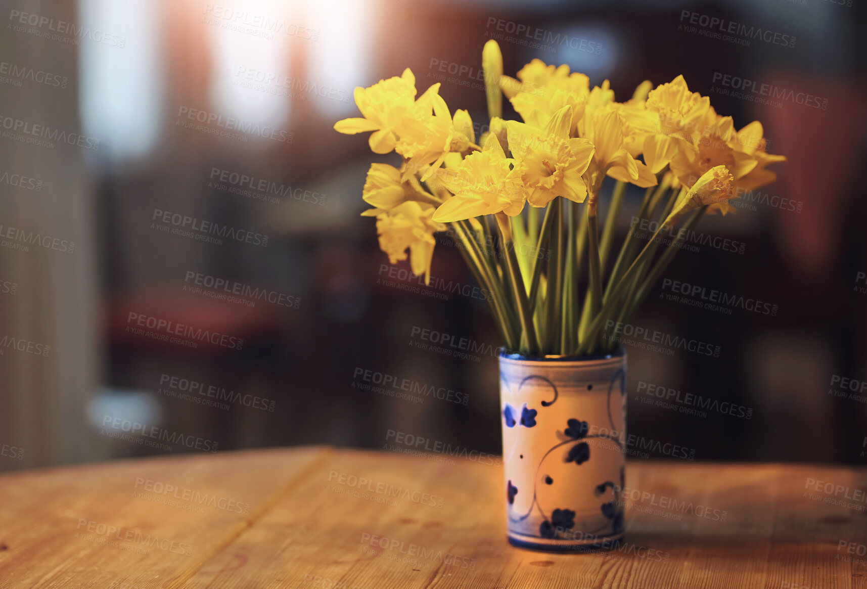 Buy stock photo Flowers, home and eco friendly decor for healthy environment, sustainable and house plants. Daffodils, flowerpot and green for natural design or furniture in apartment, leaves and blooming in kitchen