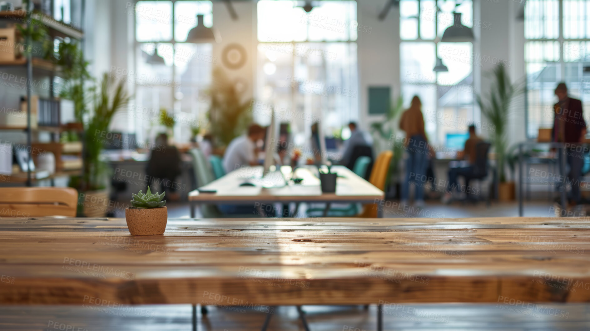 Buy stock photo Table, wood and empty with plant or aesthetics for business, startup or workplace with light. Desk, chair and people in office for company with creative design, furniture or building with flare