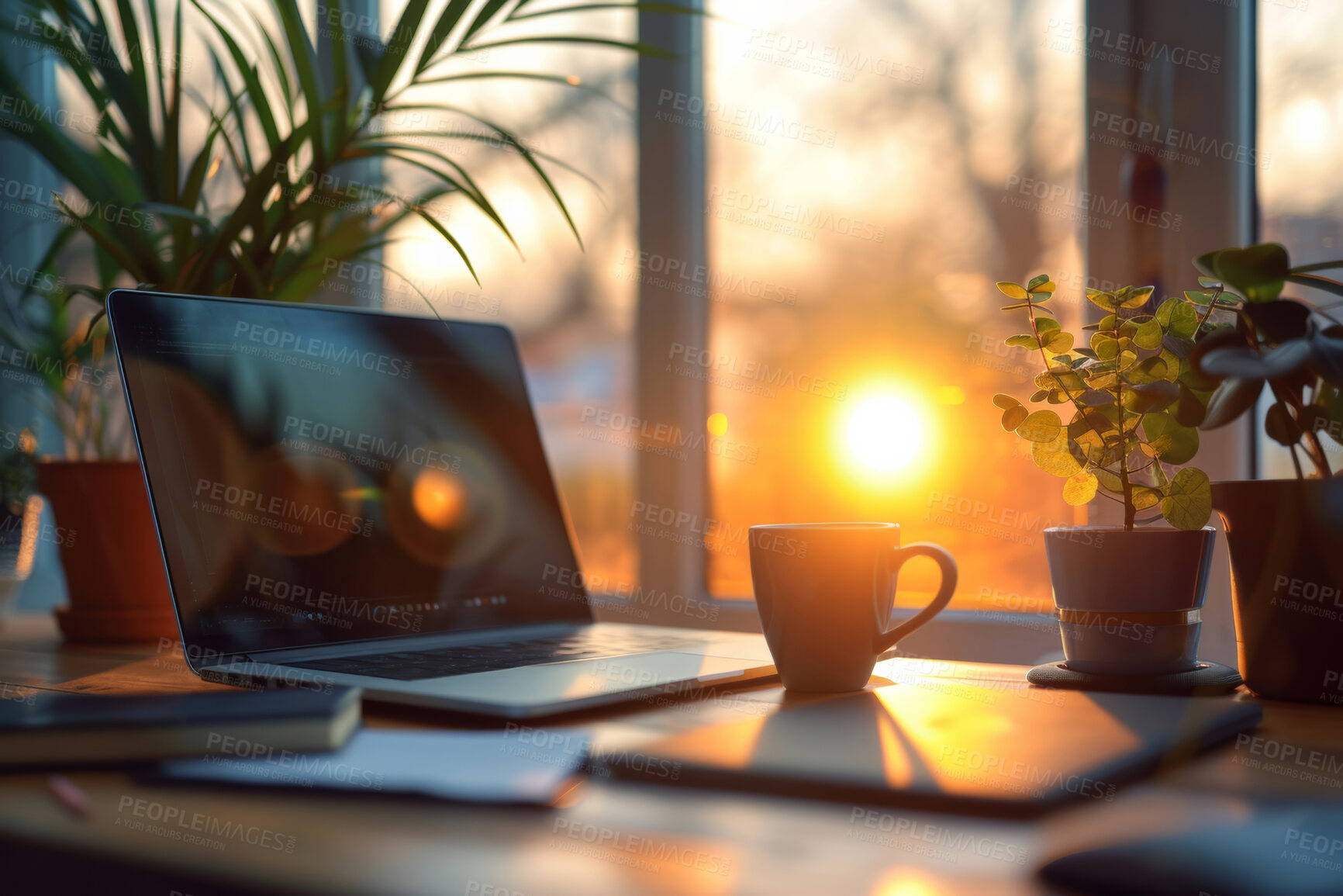 Buy stock photo Plants, home office and desk with laptop, coffee and notebook at window in sunshine. Remote work, interior and computer on table for freelance online research career, sunset and professional space