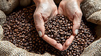 Woman, hand and coffee beans with pattern of grain for farming, produce and organic harvest. Roast, fresh and person with texture of brown seed for caffeine, ingredient and natural growth in Brazil