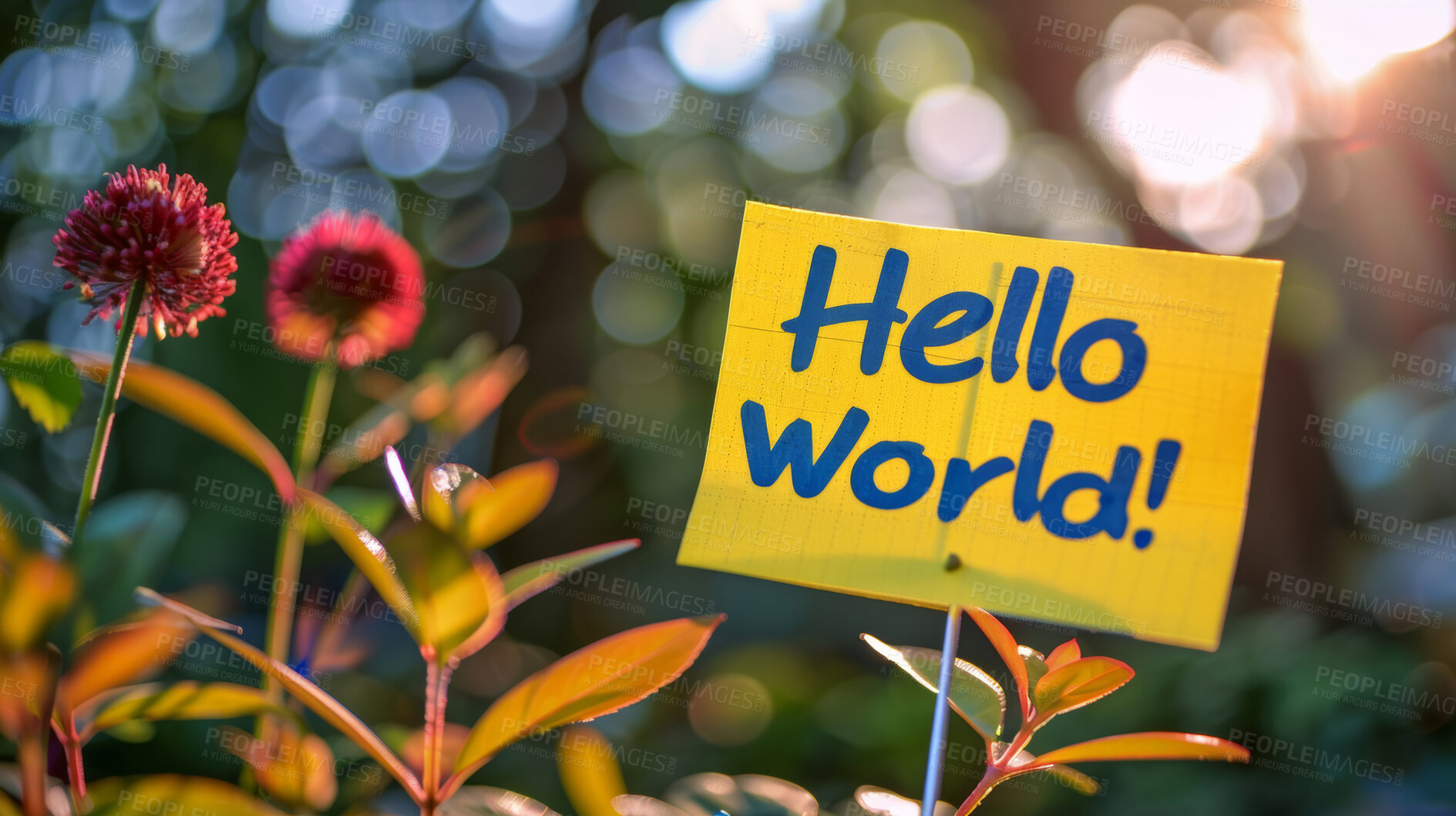 Buy stock photo Earth day, garden and hello world with sign for botany, growth or sustainability of nature in spring. Environment, flowers and plants outdoor in backyard or park for conservation or natural ecology