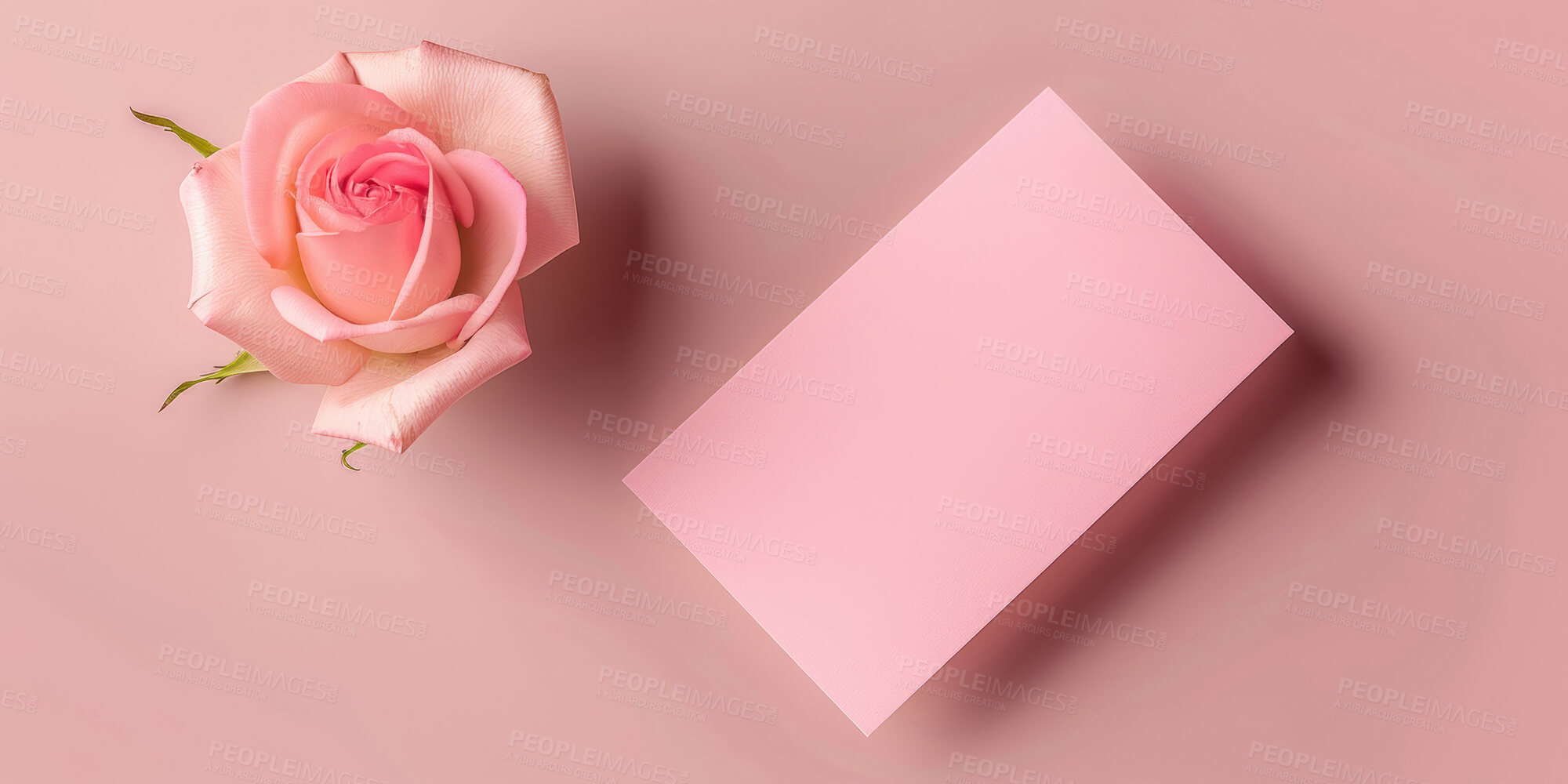 Buy stock photo Rose, card and valentines day with flower on banner for anniversary or gift above on a pink background. Top view of empty space with petals by paper for message, love or post on template or mockup