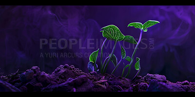 Buy stock photo Sprout, futuristic and plant in nature, farm and mockup in environment, earth and leaves in soil outdoor. Agriculture, dirt and field for carbon footprint, sustainability and project for seedling