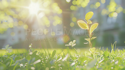 Buy stock photo Flare, growth sustainability with green bud or sprout in field for conservation of environment. Earth, grass and spring with plants growing closeup in nature for carbon capture, ecology or net zero