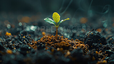 Seedling, growth and plant in soil, leaves and bokeh in environment, farm and ecology in nature outdoor. Agriculture, dirt and field for carbon footprint, sustainability and project for garden