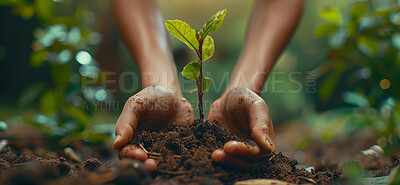 Seedling, agriculture and plant in nature, hands and ecology of environment, farmer and outdoor in soil of garden. Earth, dirt and volunteer with care for sustainability, eco friendly or person