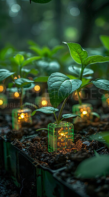 Buy stock photo Futuristic, grow and plant in nature, seedling and bokeh in environment, earth and leaves in soil outdoor. Agriculture, dirt and field for carbon footprint, sustainability and project for garden