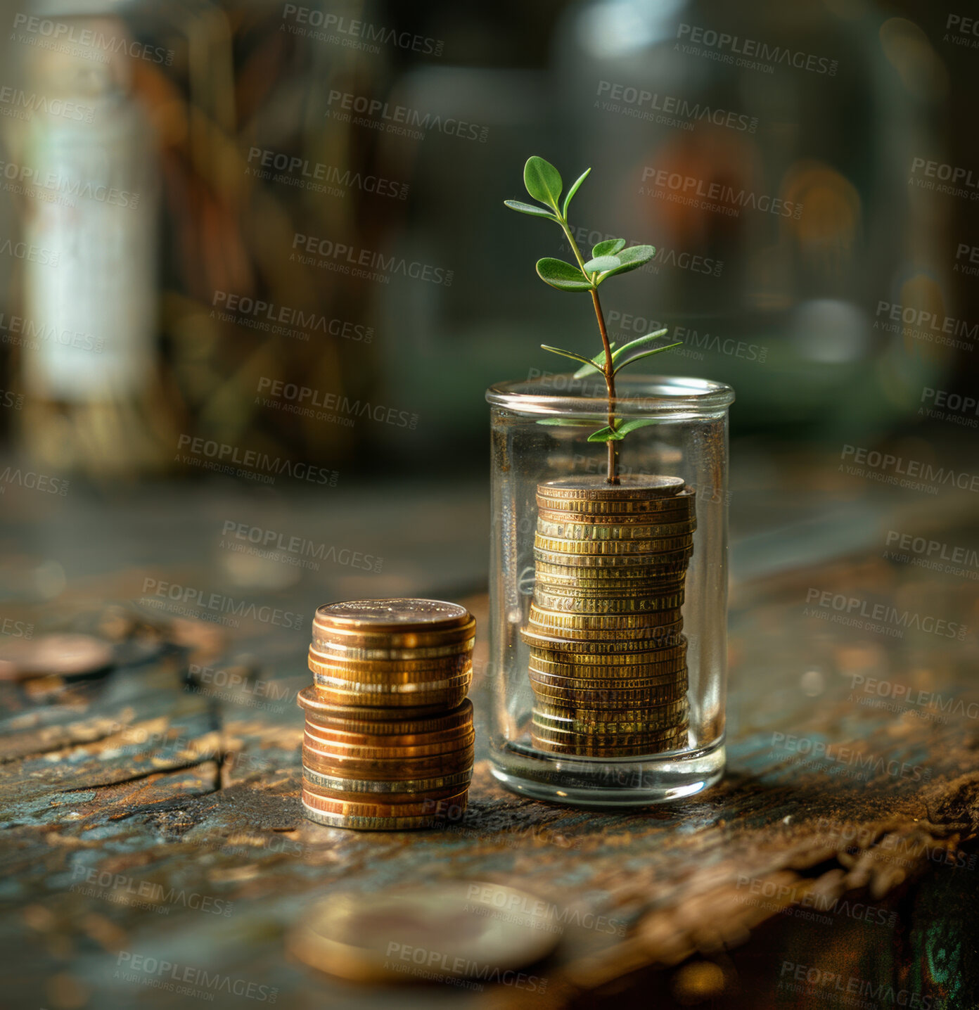 Buy stock photo Jar, coins and plant with savings, growth and budget with financial planning, future and profit. Empty, investment and retirement fund with interest rate, wealth and seed money with leaf and 
