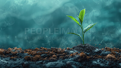Buy stock photo Seedling, grow and plant in forest, mist and mockup in environment, earth and leaves in soil outdoor. Agriculture, dirt and nature for carbon footprint, sustainability and project for food in garden