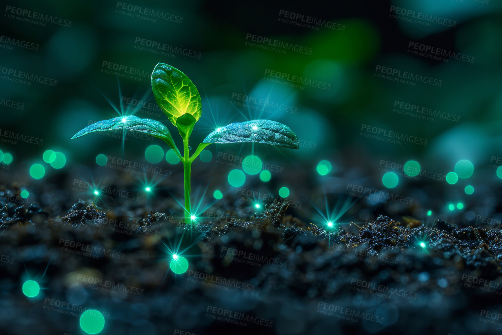 Buy stock photo Futuristic, agriculture and plant in nature, leaf and mockup in environment, earth and sprout in soil outdoor. Bokeh, dirt and field for carbon footprint, sustainability and project in farming